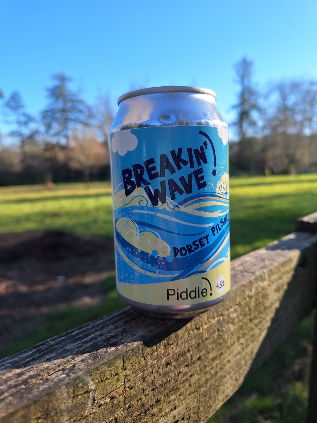 Case of Breakin Wave 330ml Can